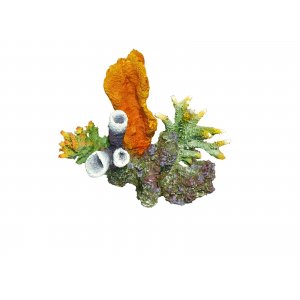 HAQUOSS CORALLO SU ROCCIA 2 - 24x15x21h cm
